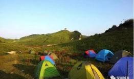 郴州露营爆料事件最新消息,最新进展揭秘，真相大白！