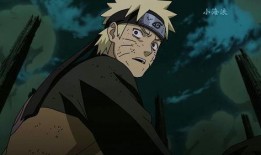 鸣人爆料视频大全下载最新,揭秘忍者世界最新动态