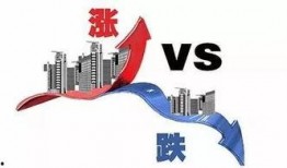 晨曦最新爆料,揭秘娱乐圈最新热点事件内幕