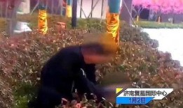 山东开发商爆料事件最新,揭露地产乱象背后的真相与反思