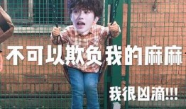 最新爆料坤坤表情包动态,趣味十足，网友直呼“笑到肚子疼”